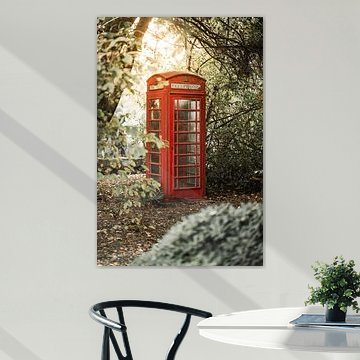 Cabine téléphonique britannique rouge dans une forêt mystique baignée de soleil