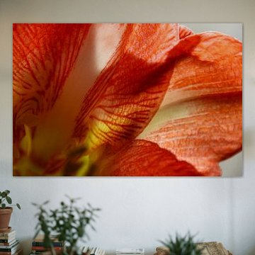 a piece of hollyhock by Erik Buitenhuis