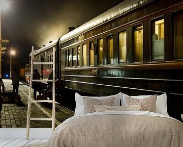 Trans-siberia express by vanrijsbergen