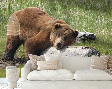 Grizzlybeer - Alaska  van Tonny Swinkels