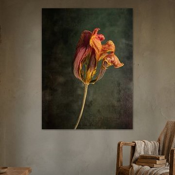 Durchblick von Andreas Berheide Photography