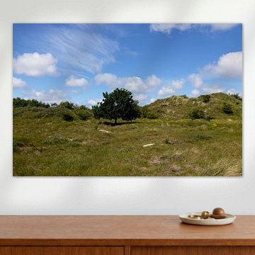 Bilder von der Nordseeinsel Borkum. von Bianca Meyering Fotos - BMF