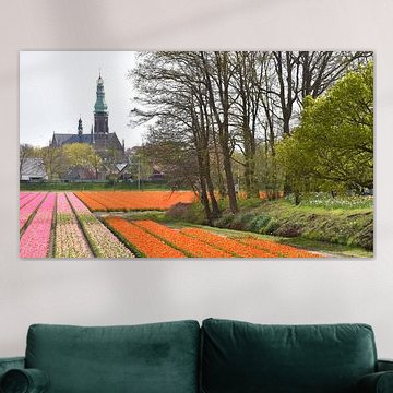 Fields in bloom in spring by Claude Laprise