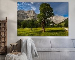 Aperçu de la chambre