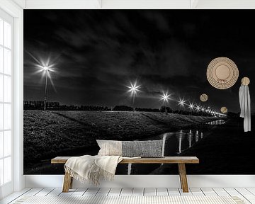 Illuminated by Thomas van der Willik