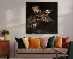 Aperçu de la chambre