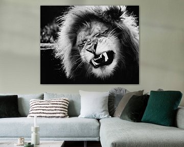 Löwen grunzen! von Eric van Horrik