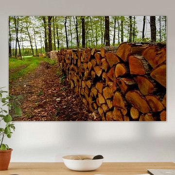 Een houten touw in het bos van Claude Laprise
