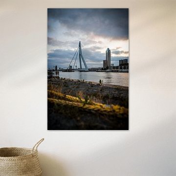 La carte de Rotterdam sur SVPhotographie