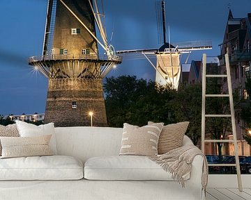 Schiedam, Molen de Noord en de Nieuwe Palmboom