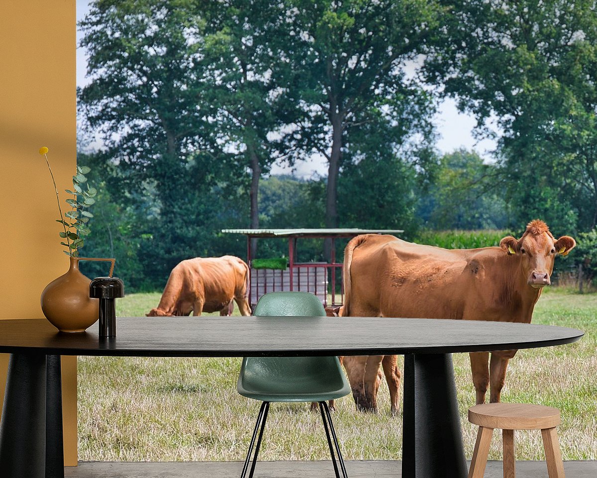 Raumvorschau