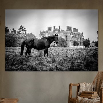 Black Horse with Manor House in the background by Armen Sarkissian