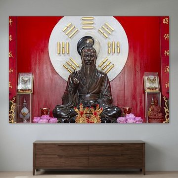 In the light of Yin and Yang by Walter G. Allgöwer