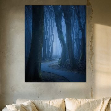 The Alley of Lost Souls sur Daniel Laan