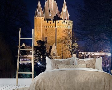 Sassenpoort in Zwolle by Anton de Zeeuw