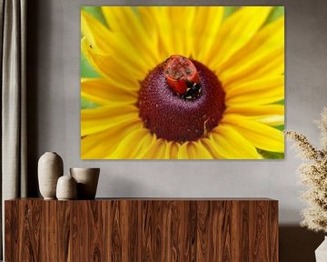 Gele bloem met lieveheersbeestje van Gonnie van Hove