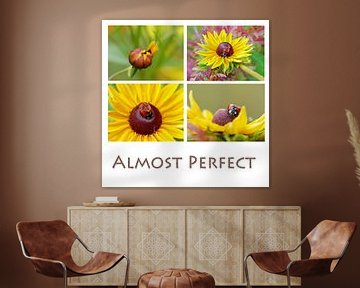 Collage gele bloemen met lieveheersbeestje met tekst van Gonnie van Hove