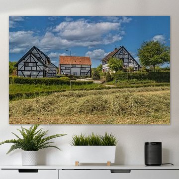 Half-timbered cottage in South Limburg by John Kreukniet