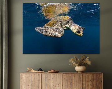 Sea turtle in the blue by Joost van Uffelen