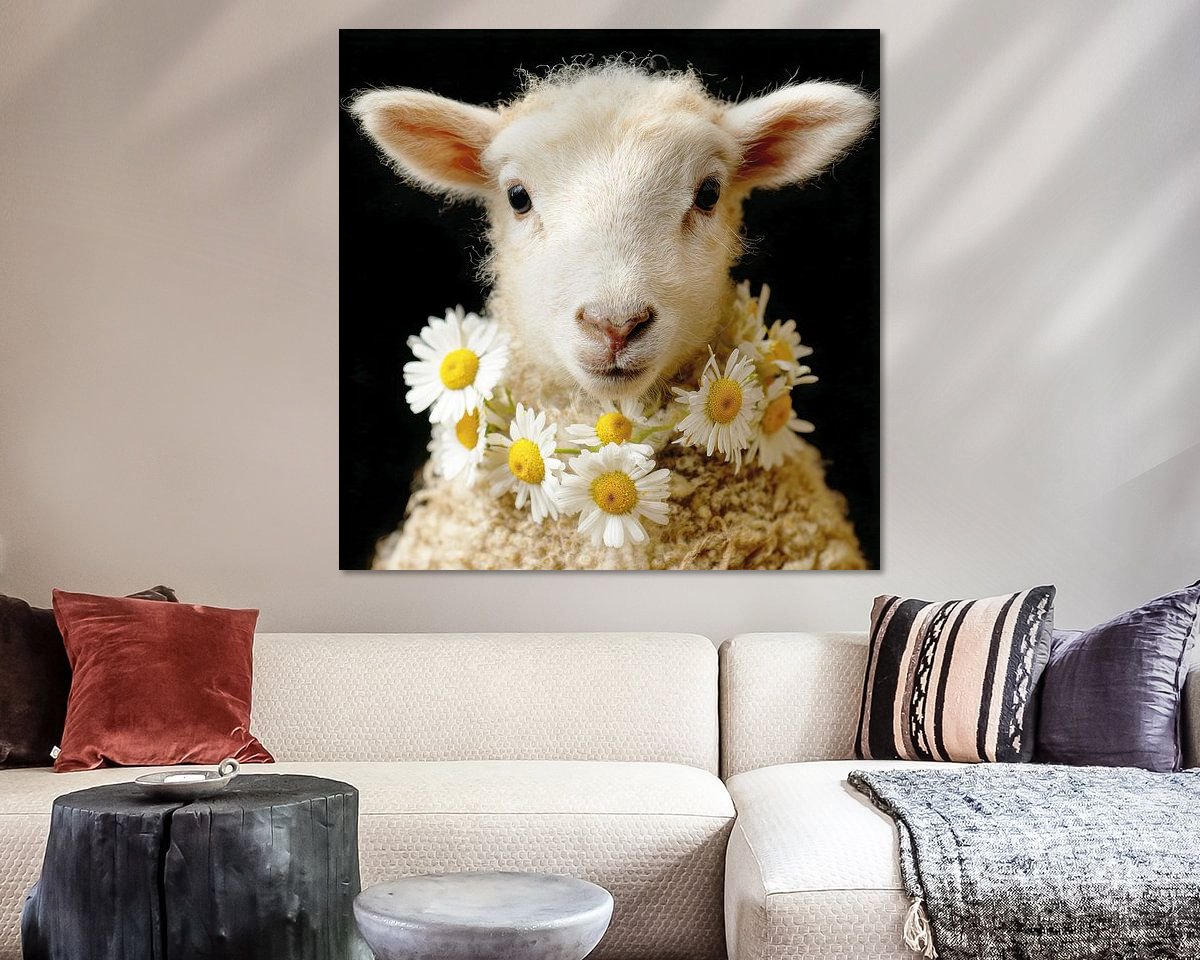 Raumvorschau
