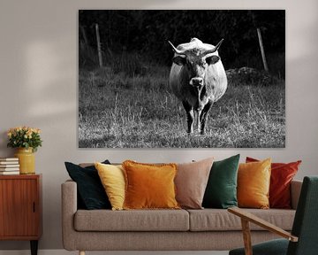 Black and White Spanish Bull or Cow van Meliza  Lopez
