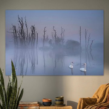 Tusschenwater im Nebel von John Leeninga
