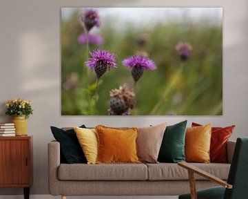 Bloemen