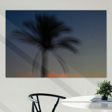 PALME 1