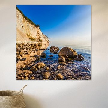 Kreidefelsen Møns Klint auf der Insel Møn in Dänemark von Werner Dieterich