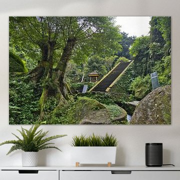 Escalier dans la jungle recouverte de mousse, temple de Pura Mengening, Bali sur Fotos by Jan Wehnert