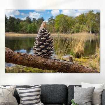 Titel: Denneappel op tak aan water: Rust & Natuur