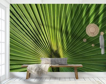 Palm van Paul Arentsen