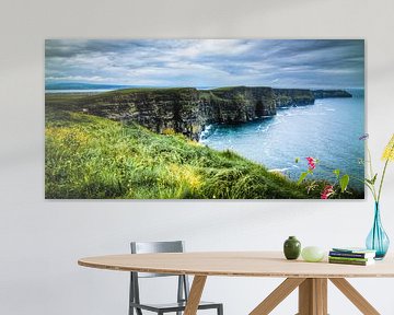 Cliffs of Moher, The Burren, Ireland van Colin van der Bel