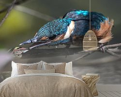 Raumvorschau
