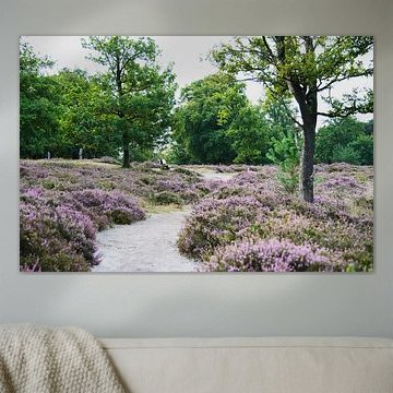 Weg entlang der Heide