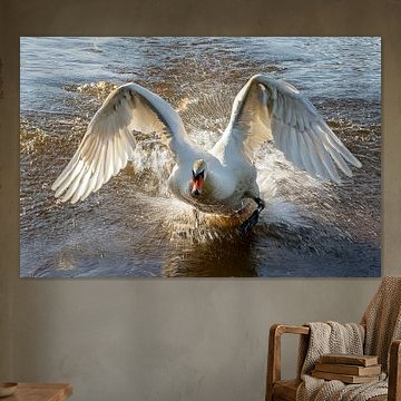 Action « Cygne » n° 6