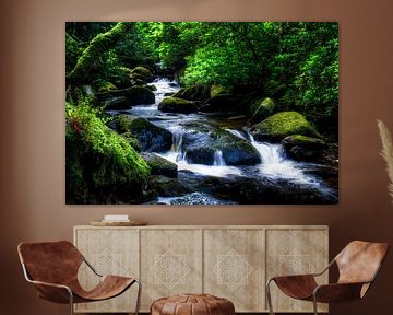 Torc Waterfall downstream, Killarney National Park, Ireland by Colin van der Bel