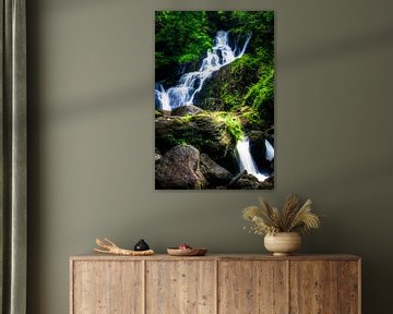 Torc Waterfall, Killarney National Park, Ireland van Colin van der Bel