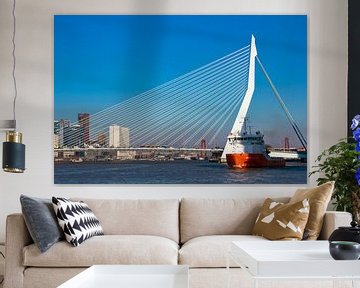 Een vrachtschip en de Erasmusbrug van Rotterdam van Petra Brouwer