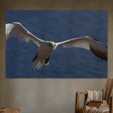 Helgoland en bref