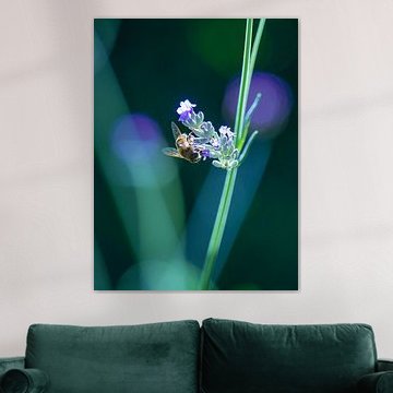 Blinde Biene auf dem Lavendel von Willemijn Wolthaus