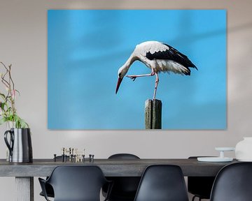 stork standing on wooden pole  