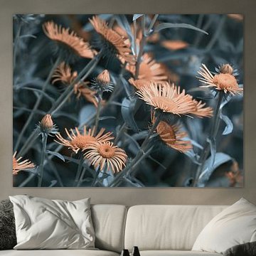 Apricot-coloured blossoms amidst the cool foliage