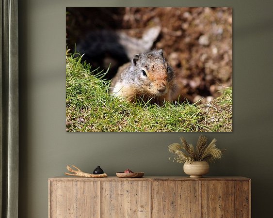 Aperçu de la chambre