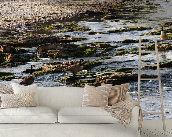Raumvorschau