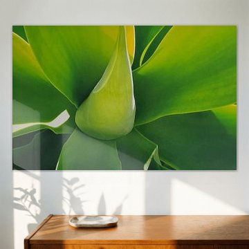 Kaktus von Mona Tesch ArtInterieure