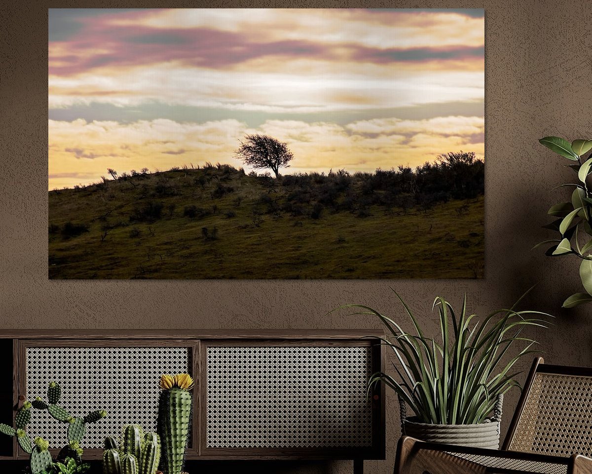 Raumvorschau