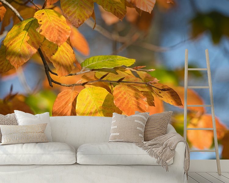 Raumvorschau