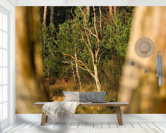 Raumvorschau