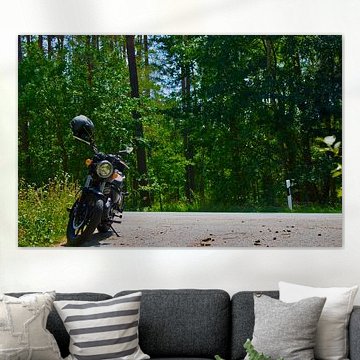 Wald und ein Motorrad von Armanto Brouka